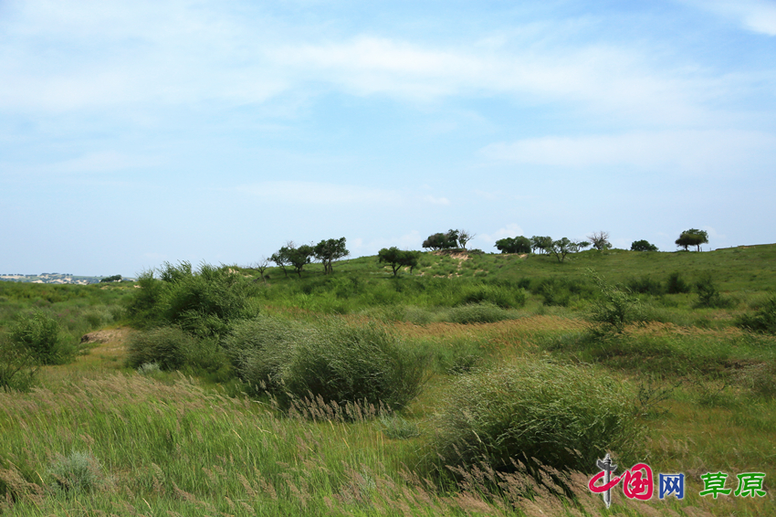 “昔日京津风沙源今日首都’后花园’” 浑善达克沙地的”绿色蜕变” 美丽中国 第5张