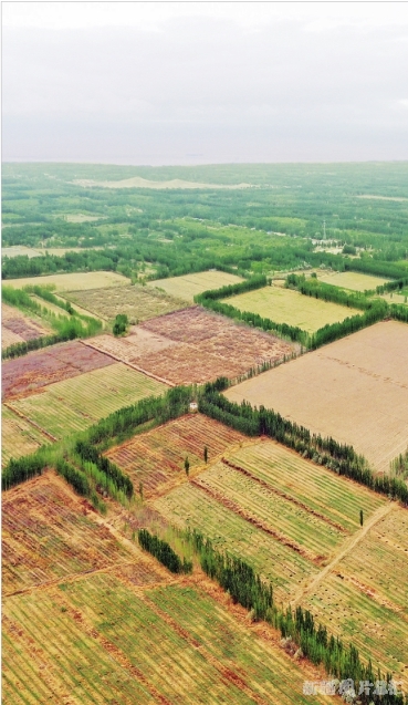 新疆：相约春天 播种绿色 美丽中国 第5张