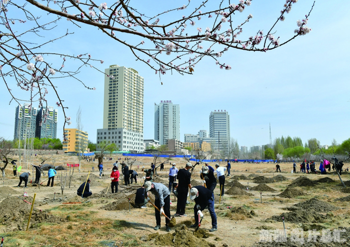 新疆：相约春天 播种绿色 美丽中国 第3张