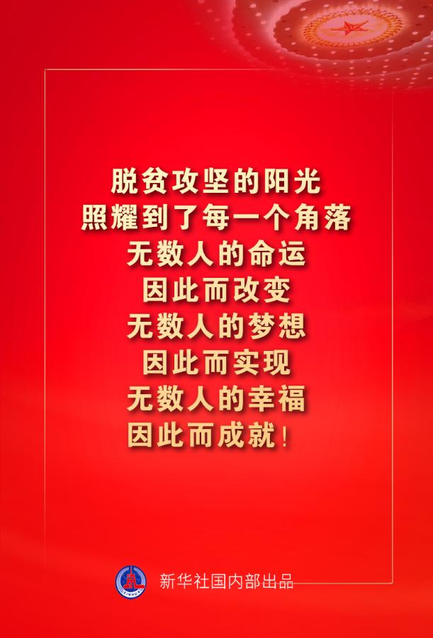 金句来了！习近平：没有哪一个国家能在这么短的时间内实现几亿人脱贫 专题 第4张