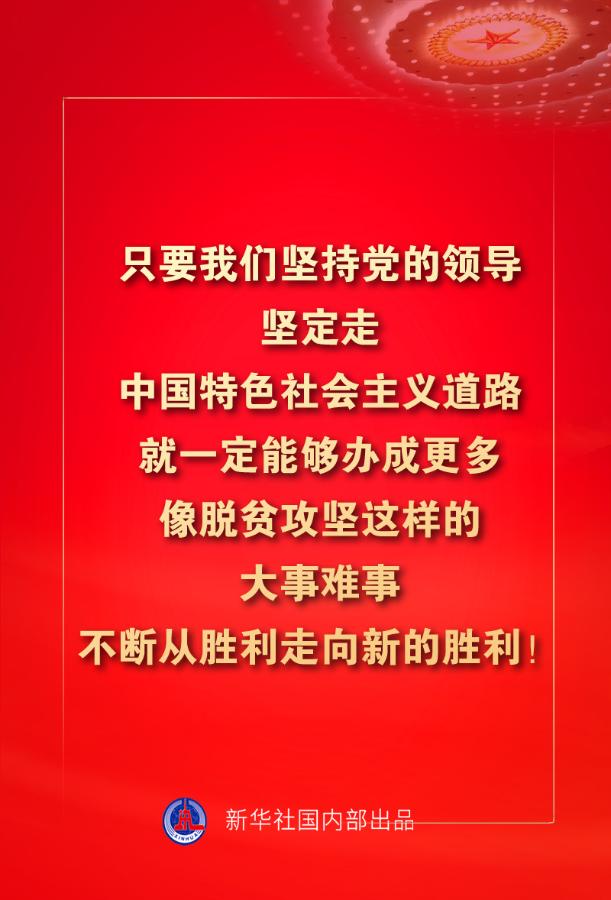 金句来了！习近平：没有哪一个国家能在这么短的时间内实现几亿人脱贫 专题 第13张