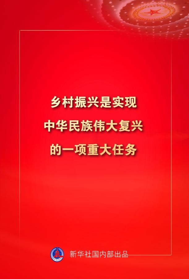 金句来了！习近平：没有哪一个国家能在这么短的时间内实现几亿人脱贫 专题 第18张