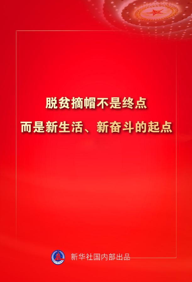 金句来了！习近平：没有哪一个国家能在这么短的时间内实现几亿人脱贫 专题 第17张