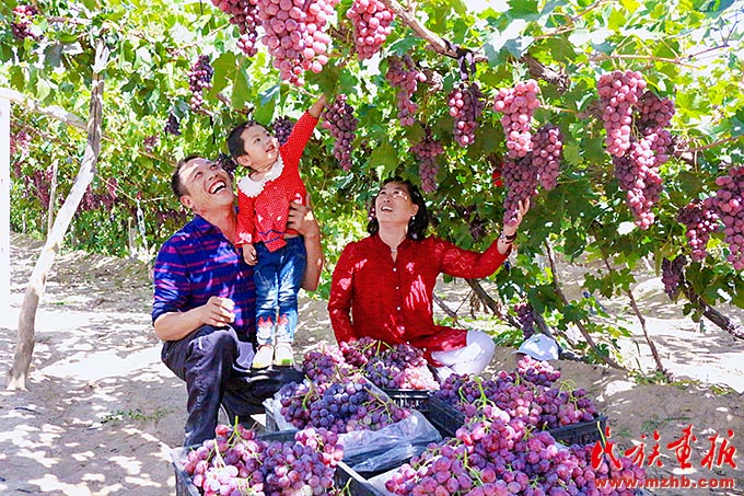 民族团结之花在金塔盛开——甘肃省金塔县民族团结进步创建工作纪实 同心筑梦 第5张