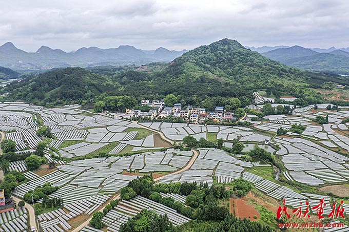 走进乡村看振兴 壮丽征程 第2张