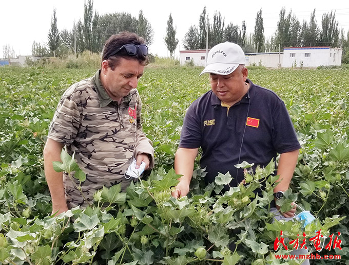全国政协委员玉克赛克·西加艾提：继续为乡村振兴贡献力量 图片报道 第2张