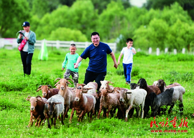 人与自然和谐共生——走中国特色的生物多样性保护之路 美丽中国 第22张