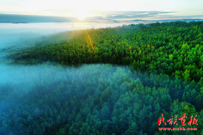 人与自然和谐共生——走中国特色的生物多样性保护之路 美丽中国 第2张