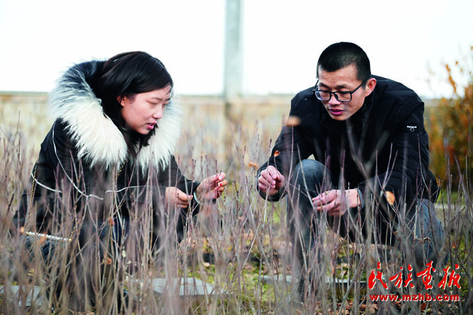 人与自然和谐共生——走中国特色的生物多样性保护之路 美丽中国 第15张