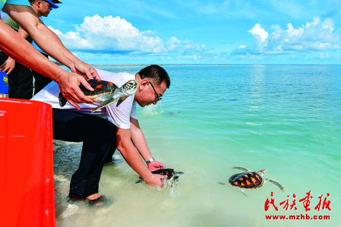 人与自然和谐共生——走中国特色的生物多样性保护之路 美丽中国 第38张