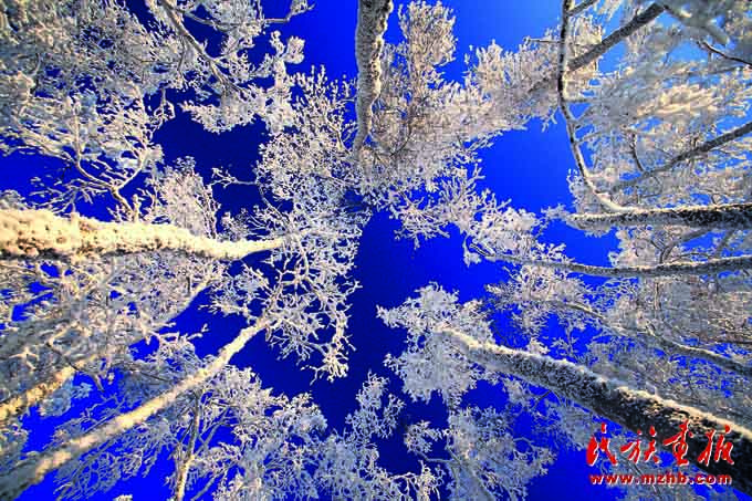 人与自然和谐共生——走中国特色的生物多样性保护之路 美丽中国 第5张