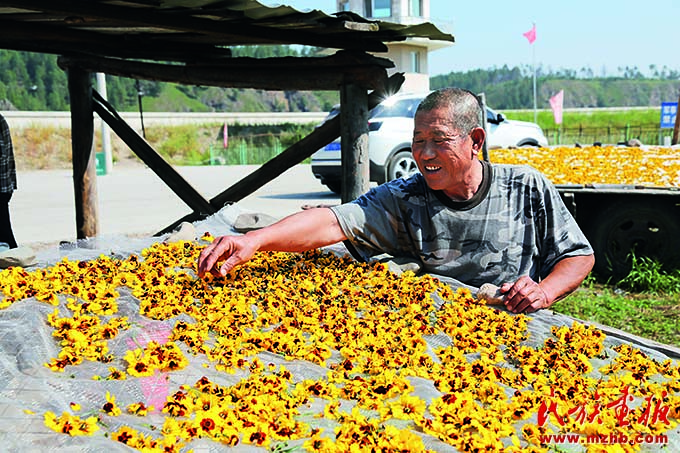 一路向北  边城漠河 美丽中国 第9张