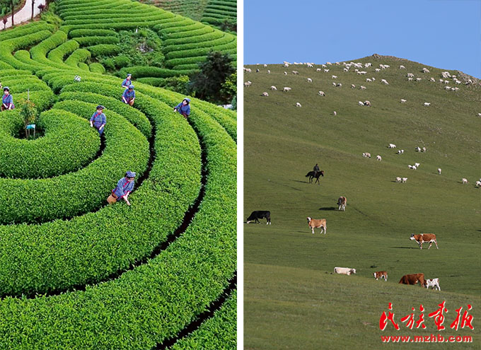 奶茶：交融的味道 多彩中华 第1张