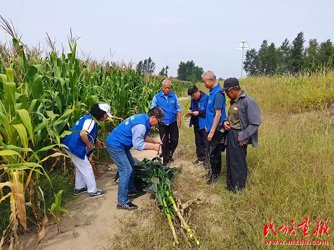 内蒙古科左后旗：“银龄力量”助力乡村振兴 图片报道 第3张