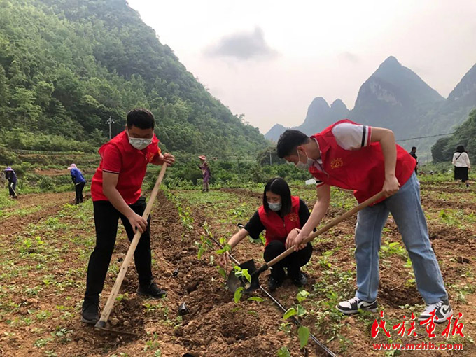 广西德保：用“心”绘就铸牢中华民族共同体意识新画卷 图片报道 第4张