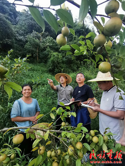 广西德保：用“心”绘就铸牢中华民族共同体意识新画卷 图片报道 第3张