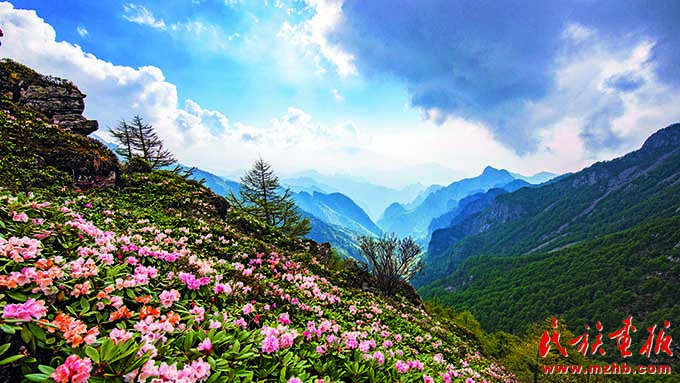 建设国家公园 打造美丽中国的亮丽名片 美丽中国 第15张