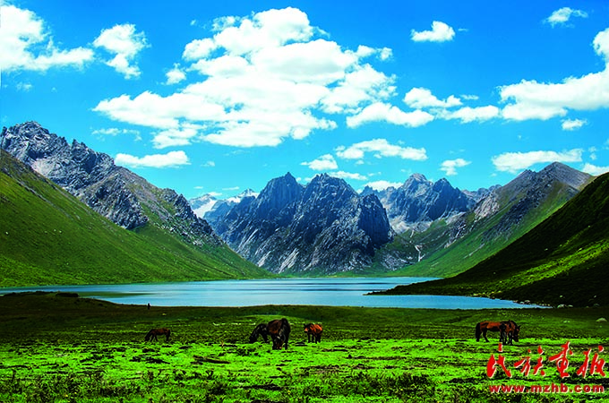 建设国家公园 打造美丽中国的亮丽名片 美丽中国 第9张