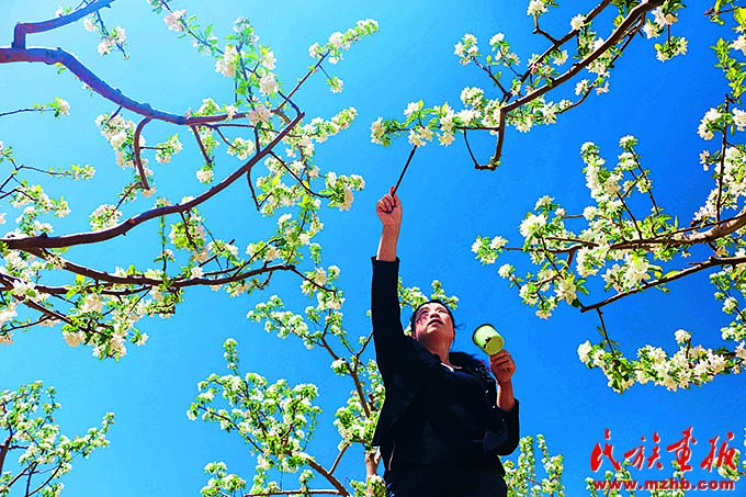 绿色屏障 大美围场 美丽中国 第6张
