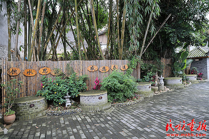 共建美丽宜居新忙岗 图片报道 第4张-民族画报