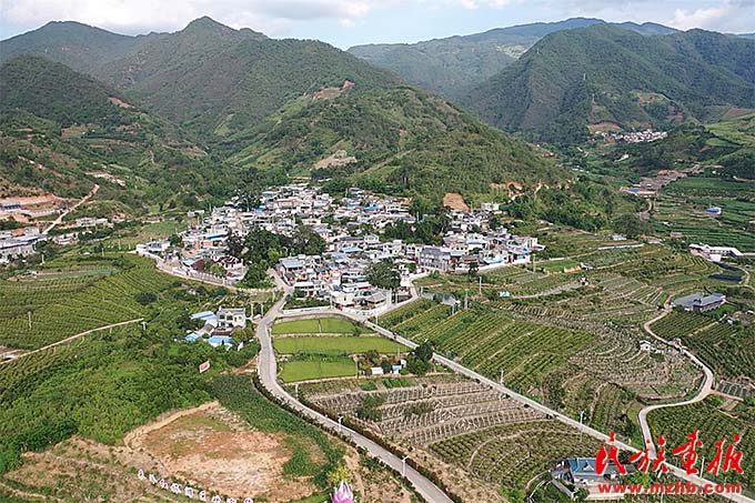 大荒田村:针绣团结花 图绘繁荣景 图片报道 第1张-民族画报