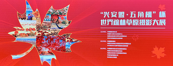影动五角枫 大美内蒙古——“兴安盟·五角枫”杯世界疏林草原摄影大展在京开幕 图片报道 第1张-民族画报