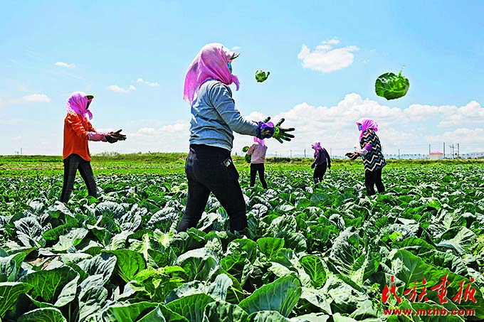 小康村里看小康——民族地区小康村繁荣发展景象 壮丽征程 第5张