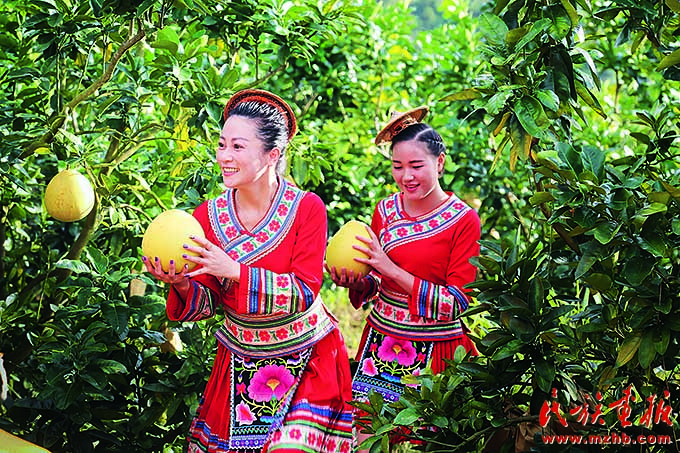 小康村里看小康——民族地区小康村繁荣发展景象 壮丽征程 第10张