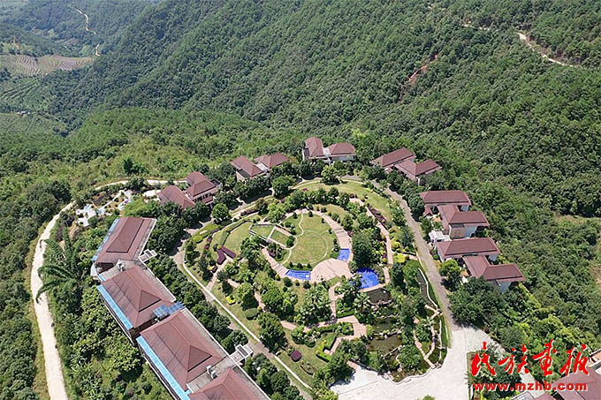以茶为媒，携手各族群众走向共同富裕 图片报道 第1张