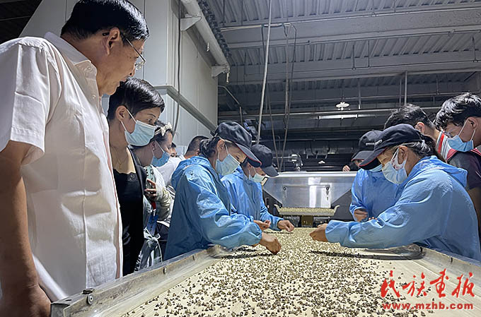 全国第二届中药材(蒙药材)产业高质量发展大会在内蒙古喀喇沁旗开幕 图片报道 第3张-民族画报