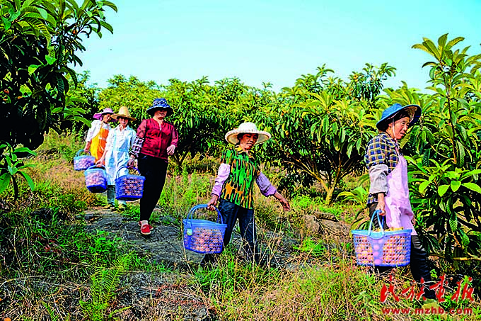 浙江：持续推动新时代民族工作走在前列 同心筑梦 第4张