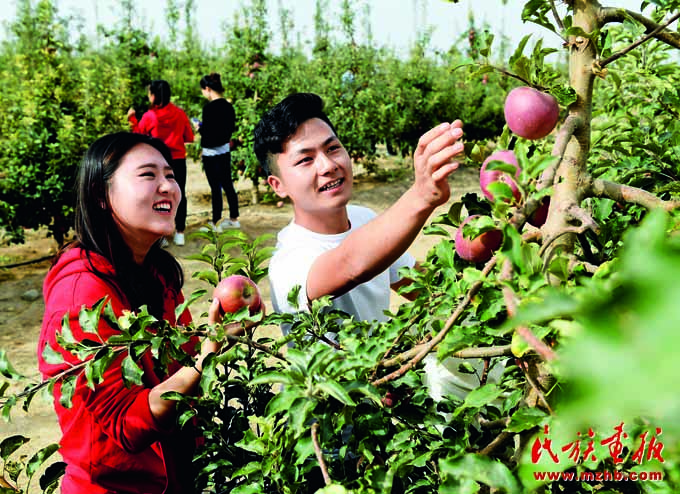 中国治沙为地球披绿装 美丽中国 第26张