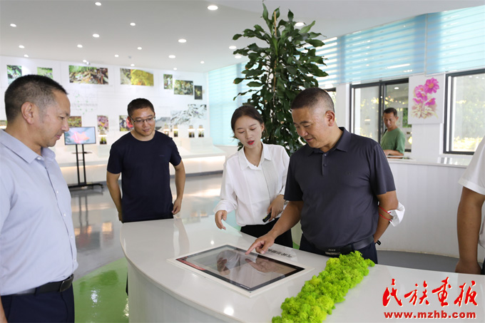 云南省楚雄彝族自治州开展民族团结进步创建工作调研 图片报道 第3张