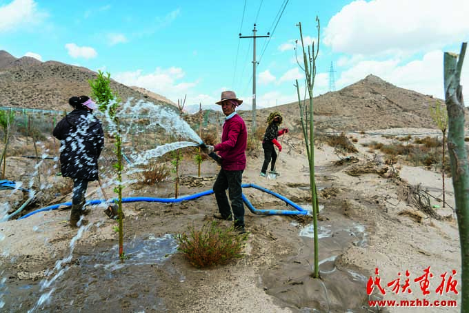 中国治沙为地球披绿装 美丽中国 第20张