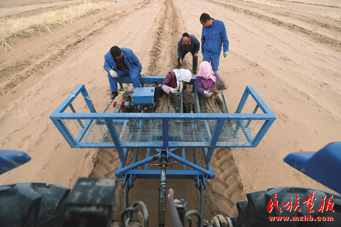 中国治沙为地球披绿装 美丽中国 第13张