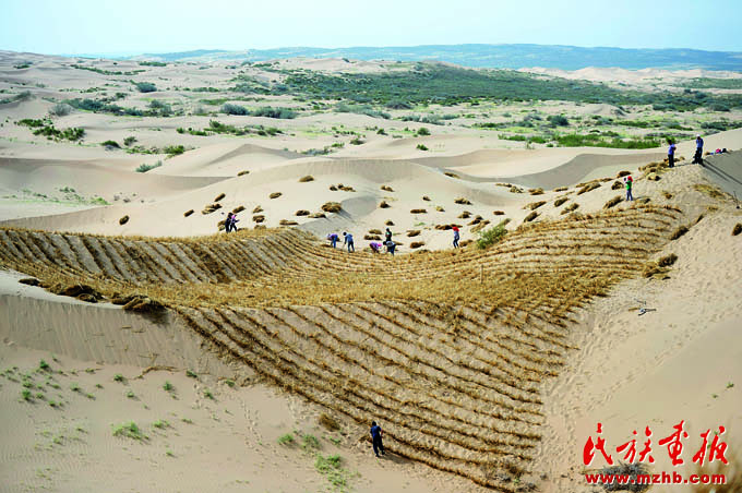 中国治沙为地球披绿装 美丽中国 第5张