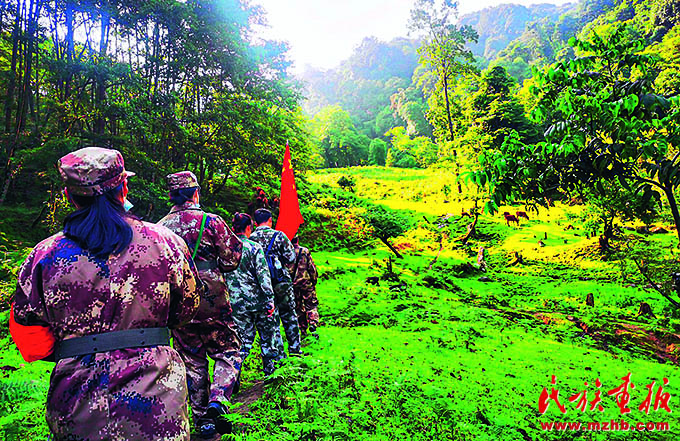 建设好美丽家园  维护好民族团结  守护好神圣国土——泸水市牢记嘱托创新推进现代化边境幸福村建设工作纪实 图片报道 第47张