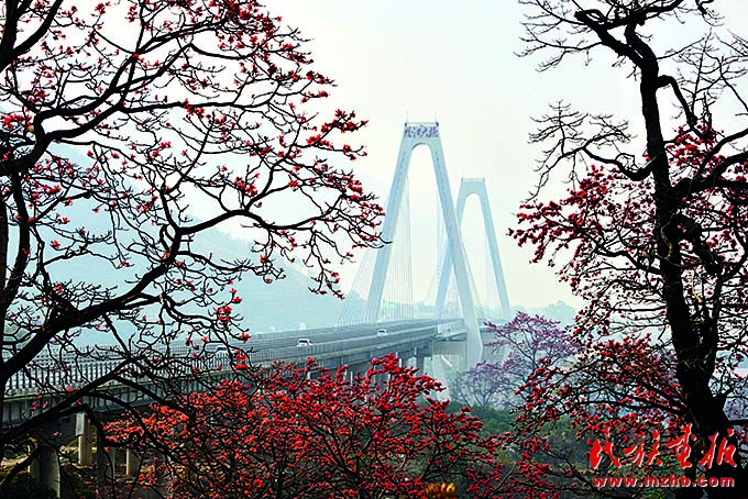 建设好美丽家园  维护好民族团结  守护好神圣国土——泸水市牢记嘱托创新推进现代化边境幸福村建设工作纪实 图片报道 第17张