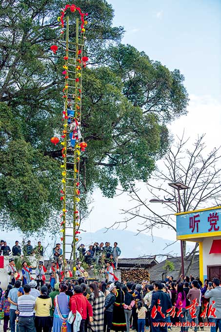 建设好美丽家园  维护好民族团结  守护好神圣国土——泸水市牢记嘱托创新推进现代化边境幸福村建设工作纪实 图片报道 第12张
