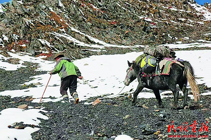 西藏：雪域边疆绘就民族团结进步新画卷 同心筑梦 第6张