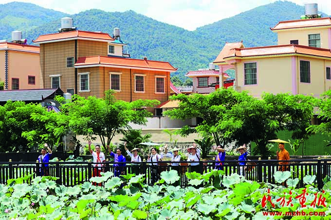 介桃:党建引领打造现代田园综合体 图片报道 第3张-民族画报