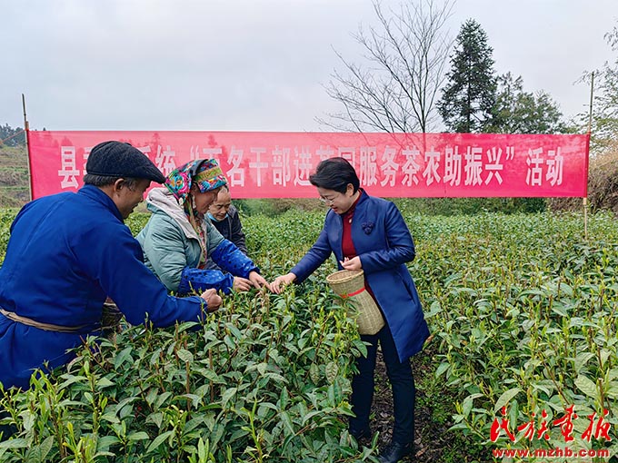 二十大代表杨志慧：激活“红色引擎”，赋能乡村振兴 中国共产党第二十次全国代表大会特别报道 第5张