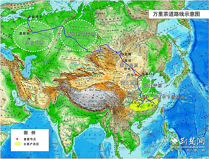 万里茶道：小小茶叶如何让中国与世界相遇？|道中华 图片报道 第3张