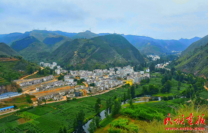 把真情和汗水播撒在乌蒙大地——云南省人大常委会机关扎实推进定点帮扶工作 图片报道 第1张