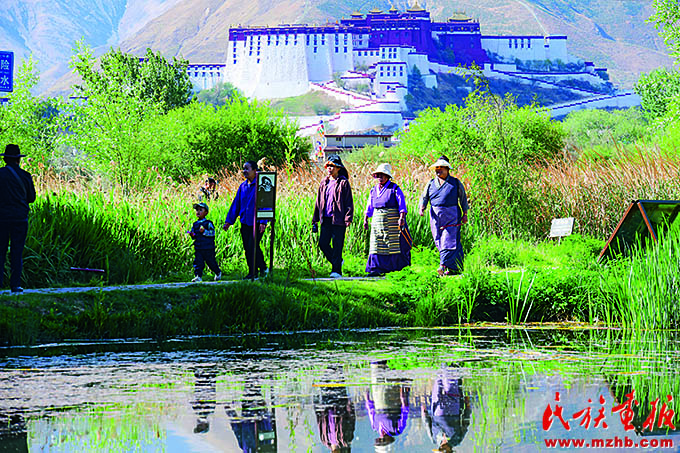 走好人与自然和谐共生的现代化美丽中国之路 ——民族地区绿水青山实践篇 壮丽征程 第23张