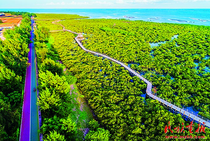 走好人与自然和谐共生的现代化美丽中国之路 ——民族地区绿水青山实践篇 壮丽征程 第16张