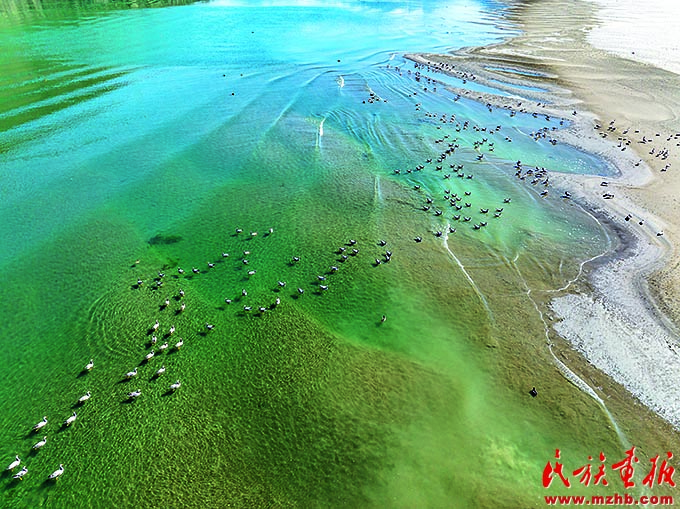 走好人与自然和谐共生的现代化美丽中国之路 ——民族地区绿水青山实践篇 壮丽征程 第19张