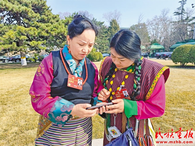 两会关注|完善民族地区医疗卫生条件 促进民族医药保护发展 图片报道 第4张