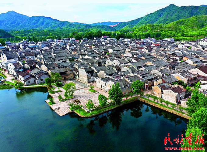 江西乐安：庭院经济点燃乡村振兴新引擎 壮丽征程 第1张