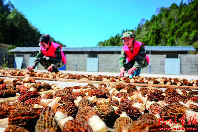 江西乐安：庭院经济点燃乡村振兴新引擎 壮丽征程 第2张